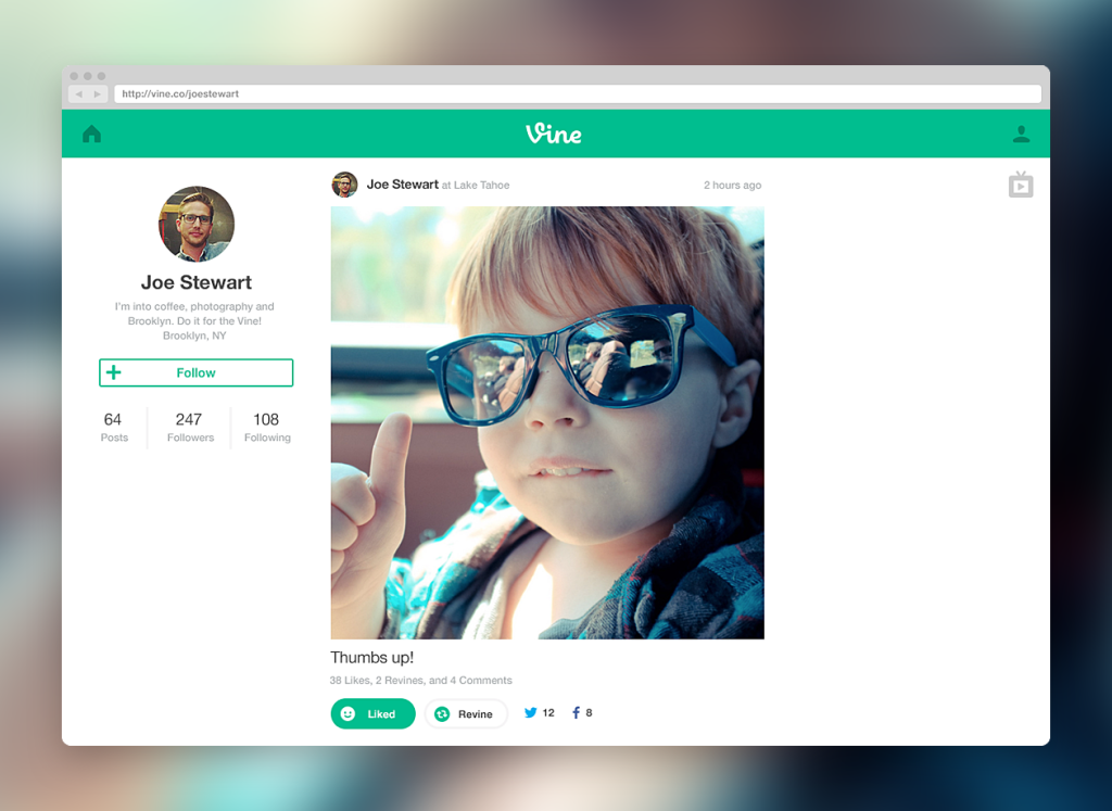 vine_web_profile