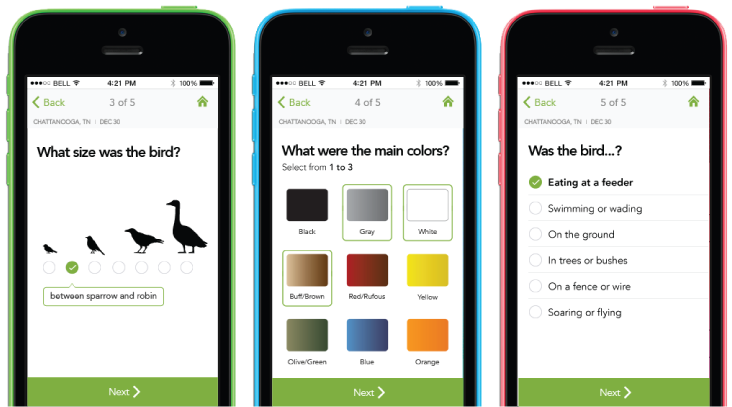 Merlin mobile app