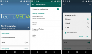 WhatsApp for Android Adds Custom Group Notifications, Mark As Unread, Low Data Setting For Voice Calls and more