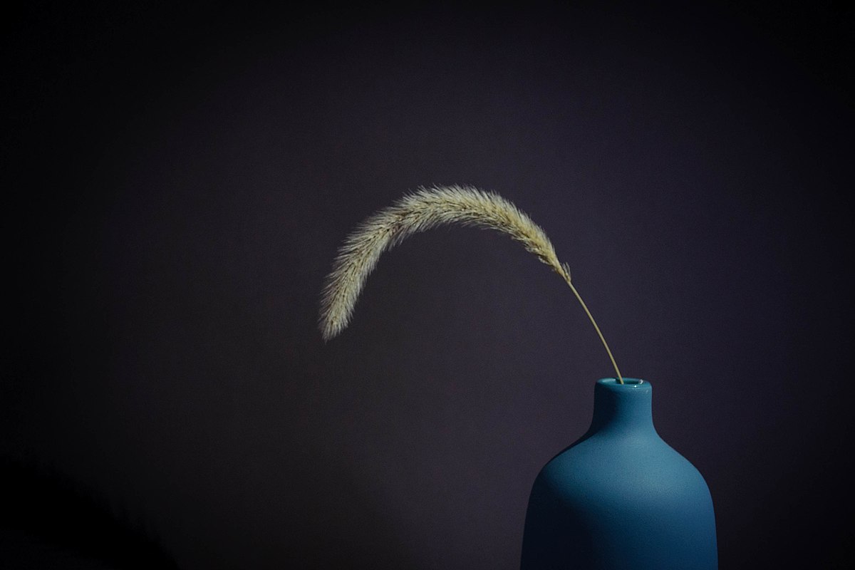 negative space photography