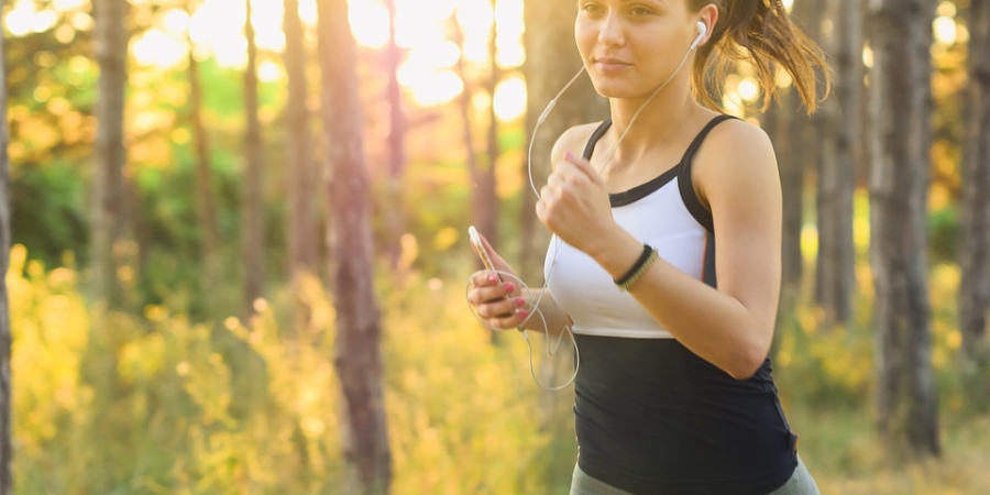 Best Earphones under Rs. 500