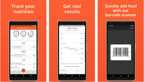 cronometer online fat to fuel