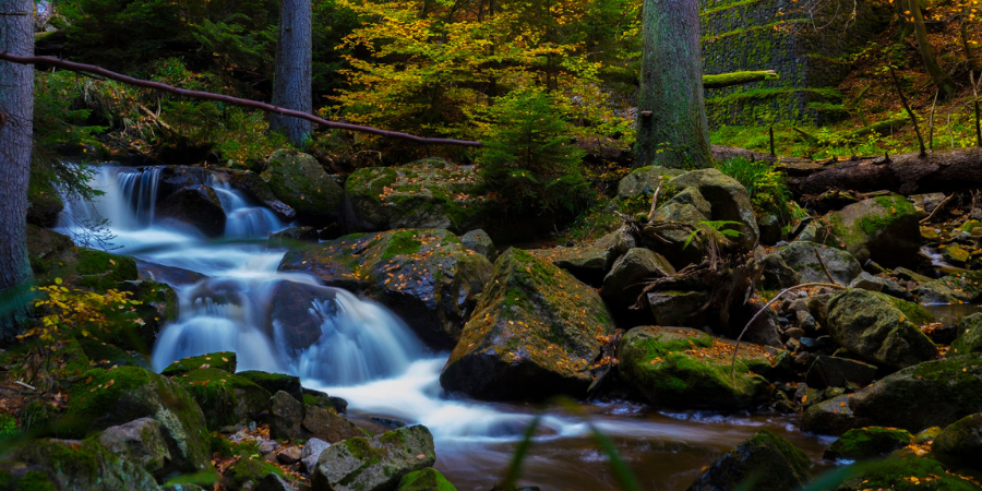 Cinemagraph