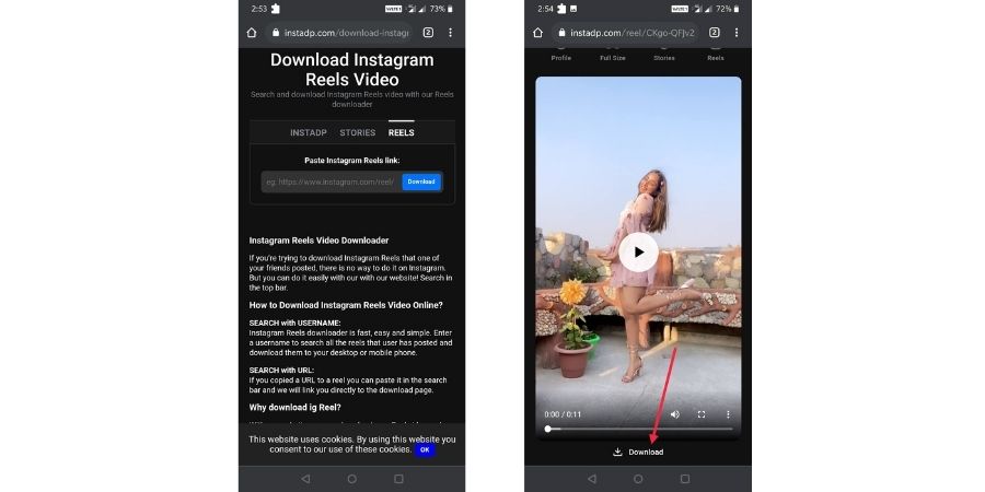 Download Reels Video