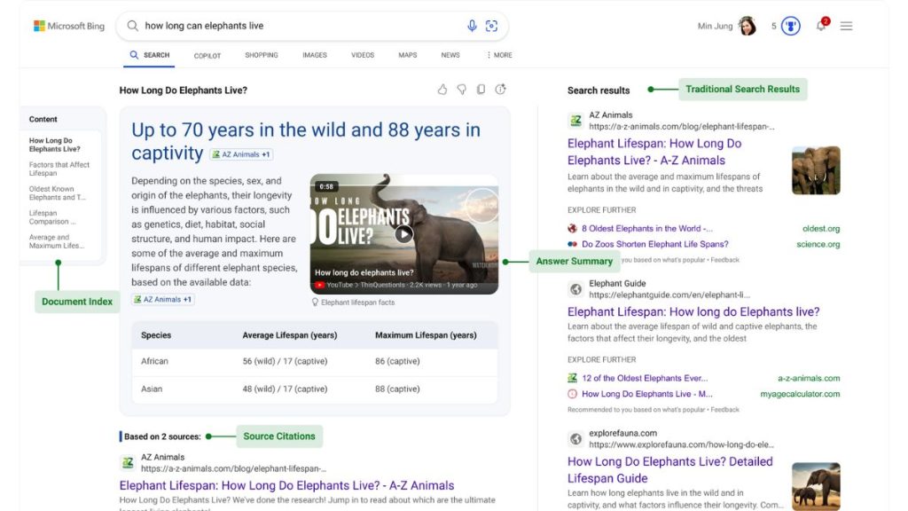 Bing AI Search Summaries