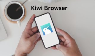Kiwi Browser: A Feature-Packed Android Web Experience