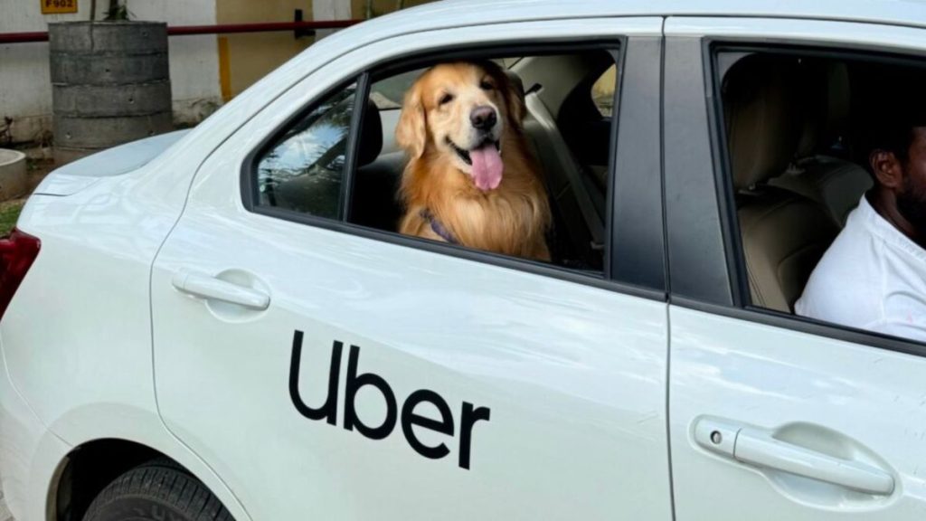 Uber Pet