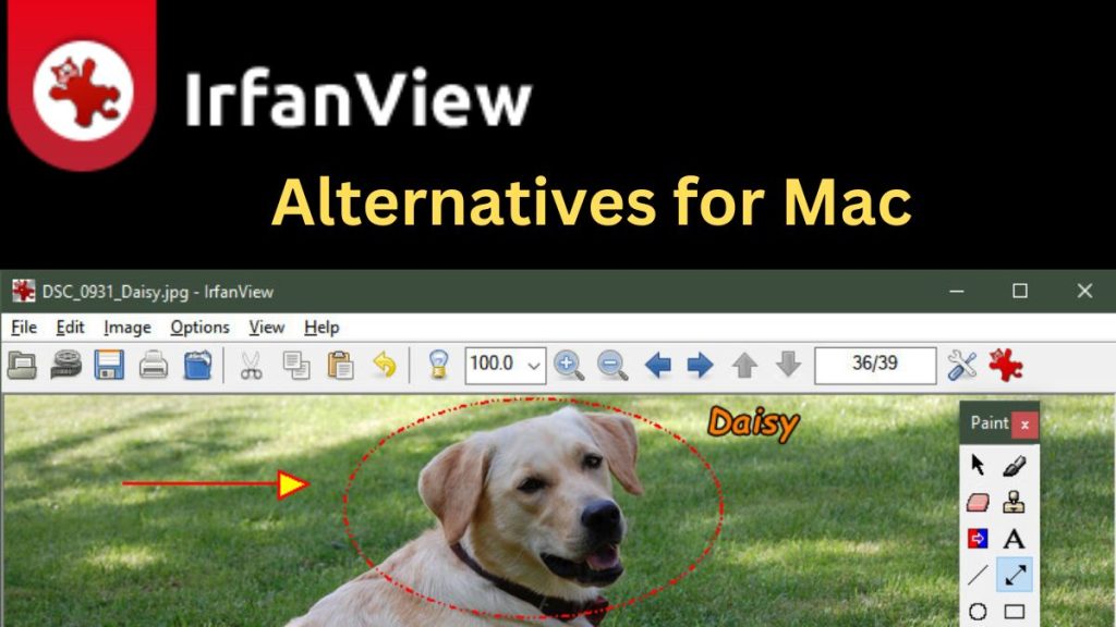 IrfanView alternatives for Mac