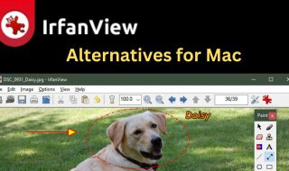 7 Best IrfanView Alternatives for Mac