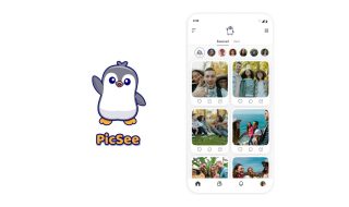 PicSee