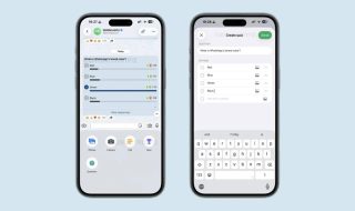 WhatsApp Testing Quiz Feature