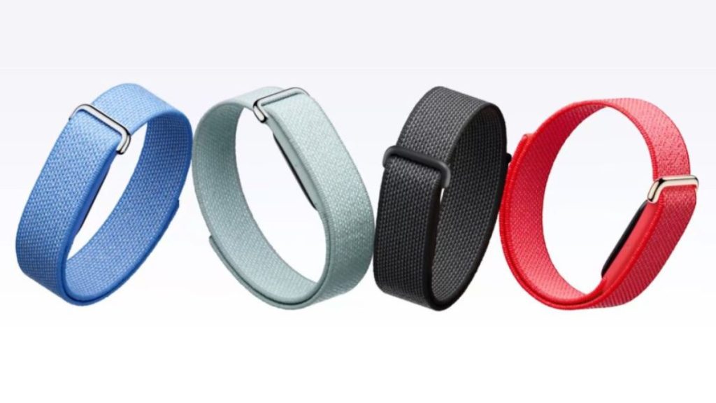 Google Fitbit Air