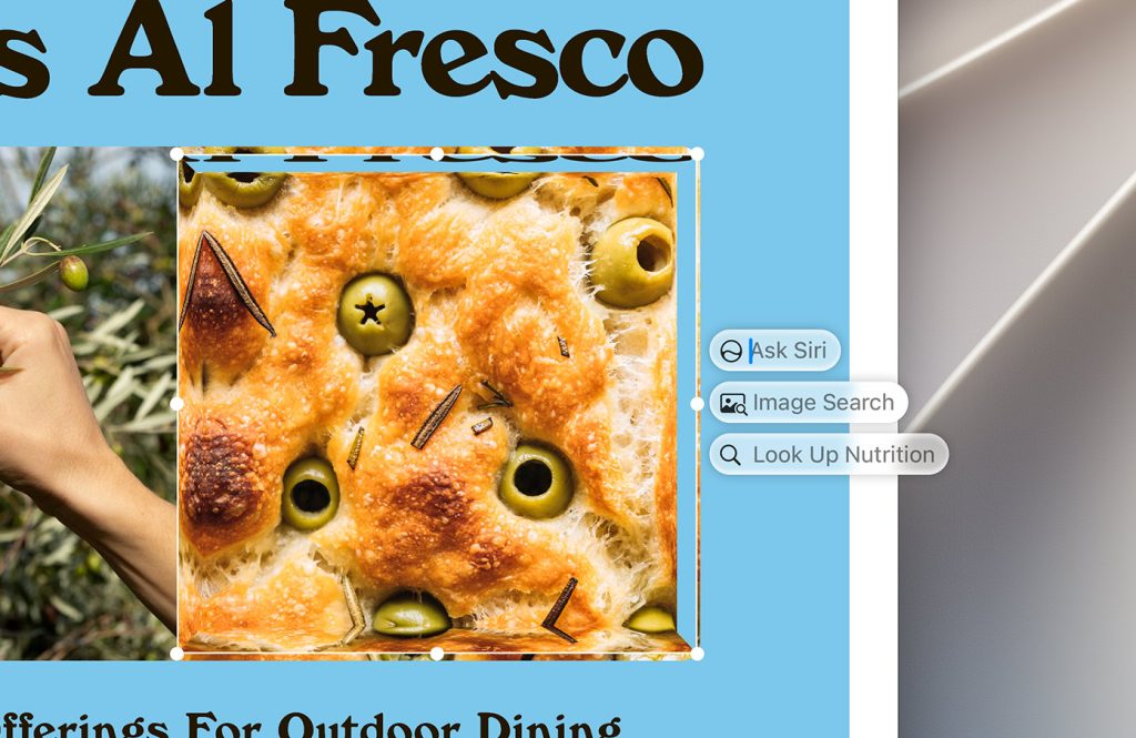 Visual Intelligence Comes to macOS