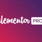 Elementor Pro Plugin