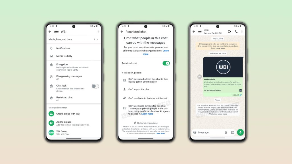 WhatsApp Is Testing Restricted Chata